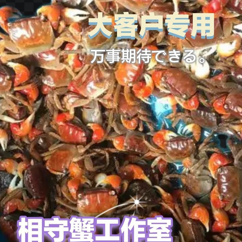 Декоративный краб, красный краб, живой краб, оптовая упаковка