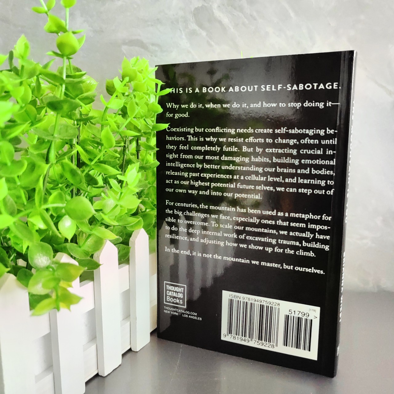 The Mountain Is You the Mountain Is You Self Transformation English Version