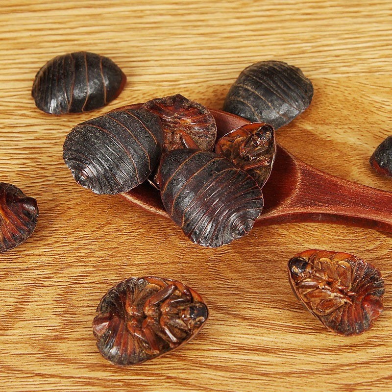 Chinese Wild Mountain Earthworm Dustpan Insect Can Be Powdered Earthworm Earthworm Earthworm Earthworm Good Product