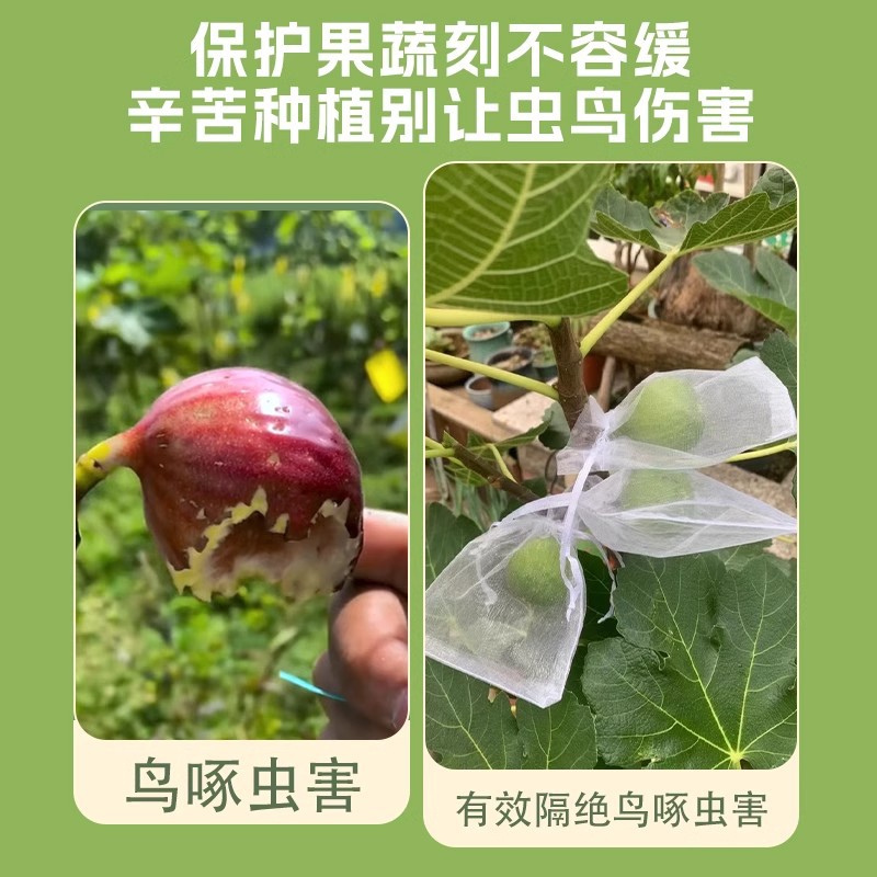 Fruit Bagging, Insect-Proof and Bird-Proof Nylon Special Mesh Bag, Grape, Peach, Pomegranate, Strawberry, Fig, Universal Mesh Bag