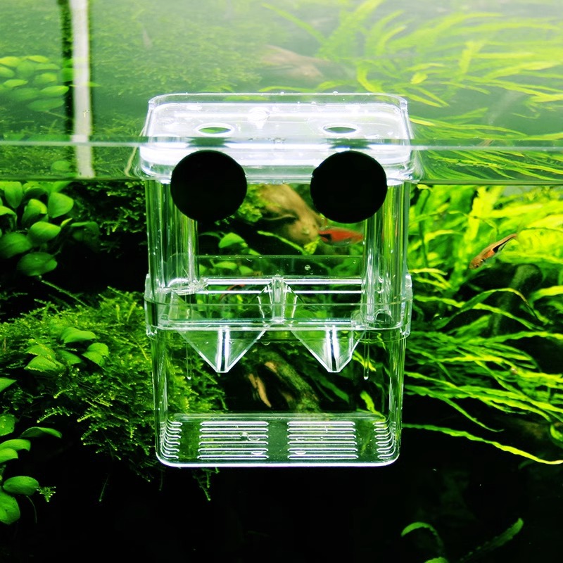 Fish Tank Isolation Box Guppy Tropical Fish Small Fish Juvenile Fish Incubator Fry Escape Prevention High Survival Rate Hatching Box