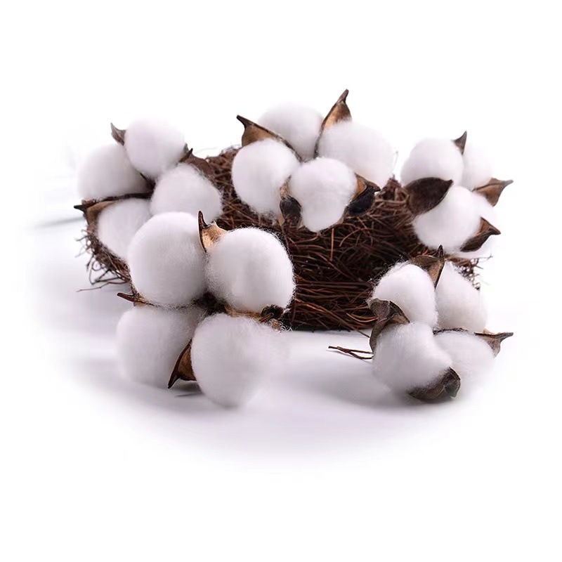 Natural Kapok Head Dried Flower Bouquet Decoration Material Photo Props Accessories DIY Handmade Garland Material Cotton