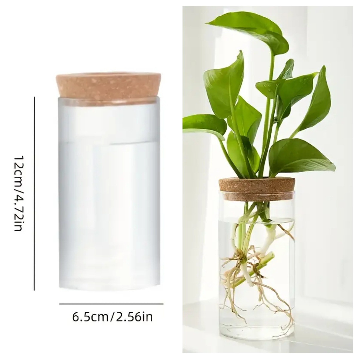 High Borosilicate Glass Micro-Landscape Vase Living Room Hydroponic Plant Ornaments Vase Flowers Home Vase