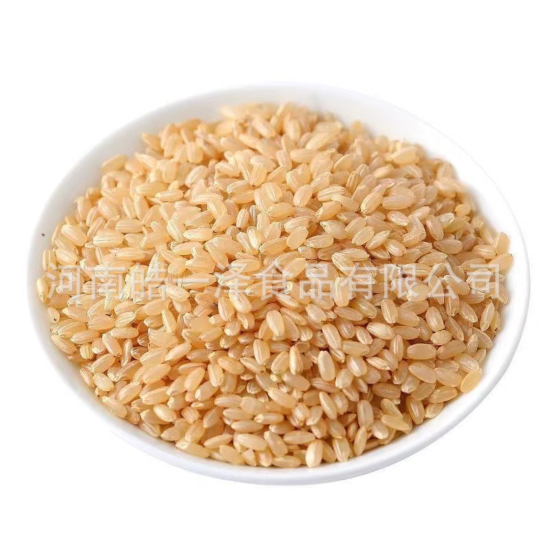 Low temperature baking brown rice whole grain grinding raw material new rice farm coarse grain factory wholesale cooked brown rice