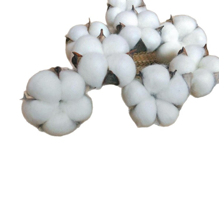 Xinjiang natural cotton dried flower bouquet artificial flower cotton head hand-embossed permanent flower specimen DIY material bag