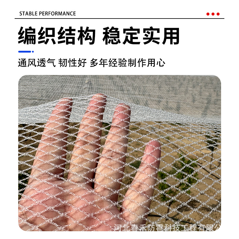 Anti-Hail Net Orchard Anti-Bird Net Grape Net Agricultural Protection Fruit Tree Brand New White Polyethylene Anti-Hail Net Artifact