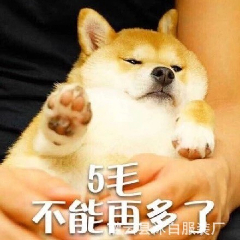 Bingliu Guo Sexy Lingerie, Sexy Pajamas, Sexy Temptation Lace Mesh See-Through Pajamas