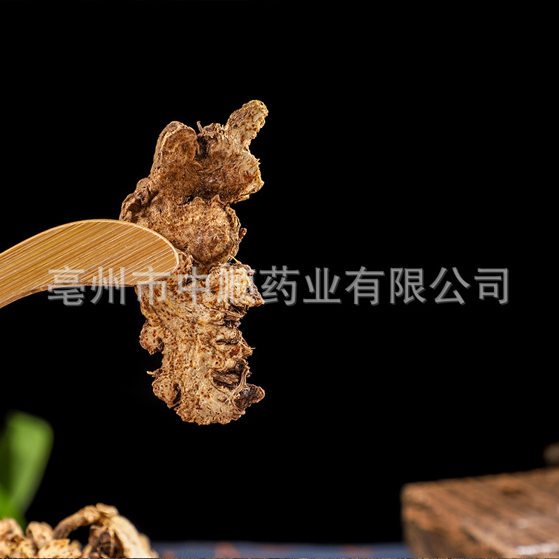 Wholesale Chinese Medicinal Materials AtractylodesAuthentic Medicinal Materials Inner Mongolia Slices Fried