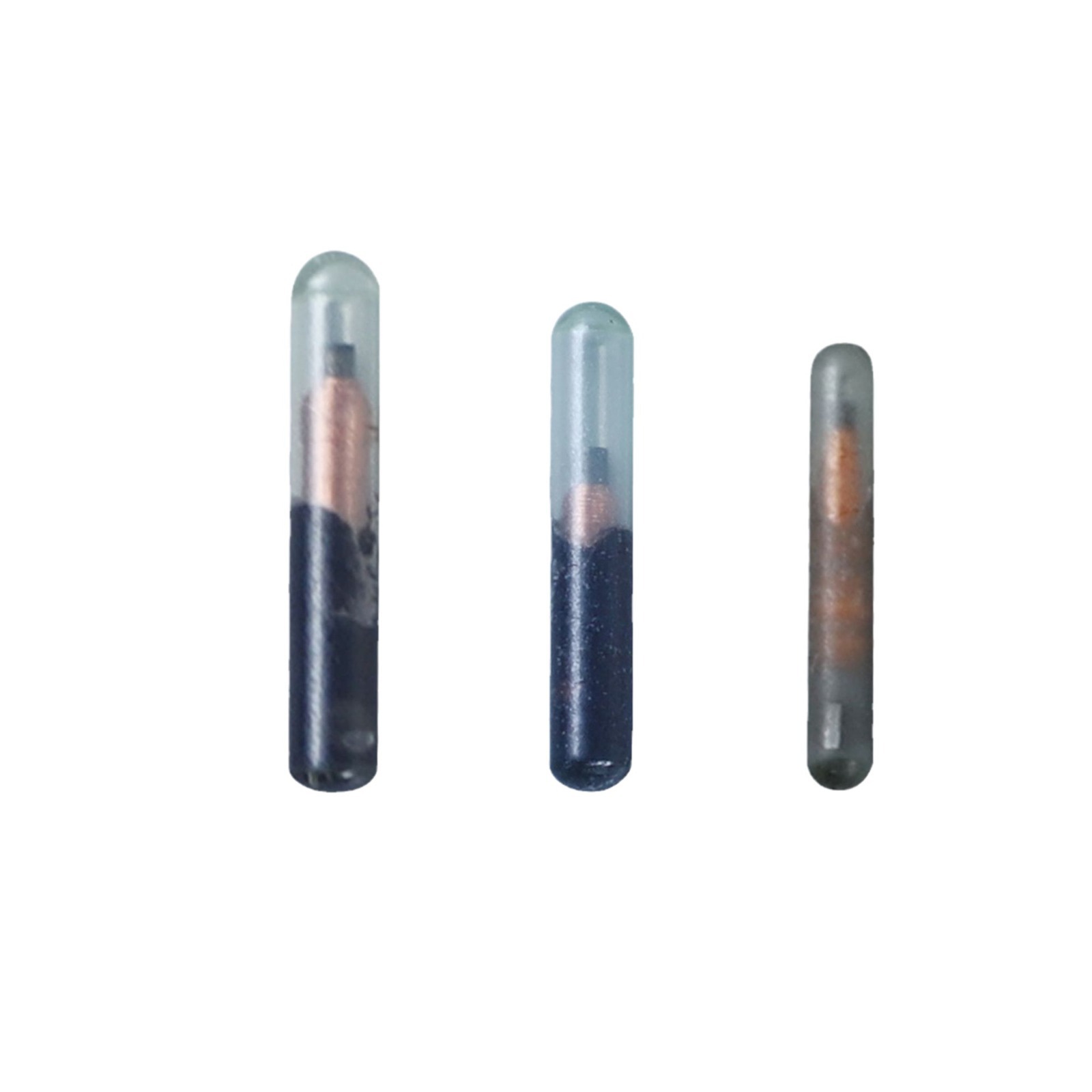 Ws-C02 (1.4 X 8mm) Chip Arowana Chip Pet Animal Chip Implantable Animal Chip