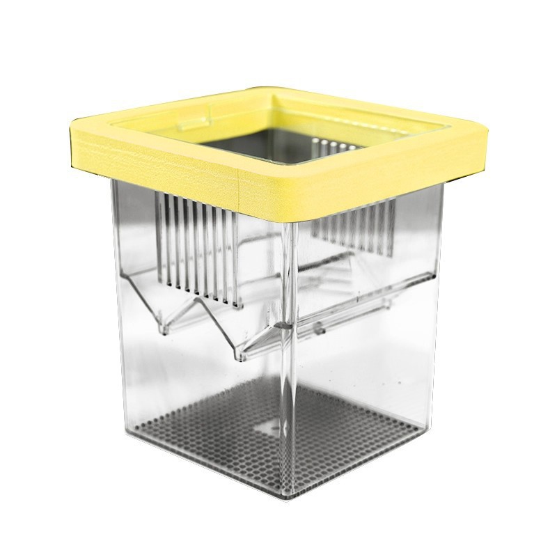 26-Year New Model Fish Tank Isolation Box Aquarium Strong Suction Cup Thickened Female Fish Floating Hatching Box Breeding Box