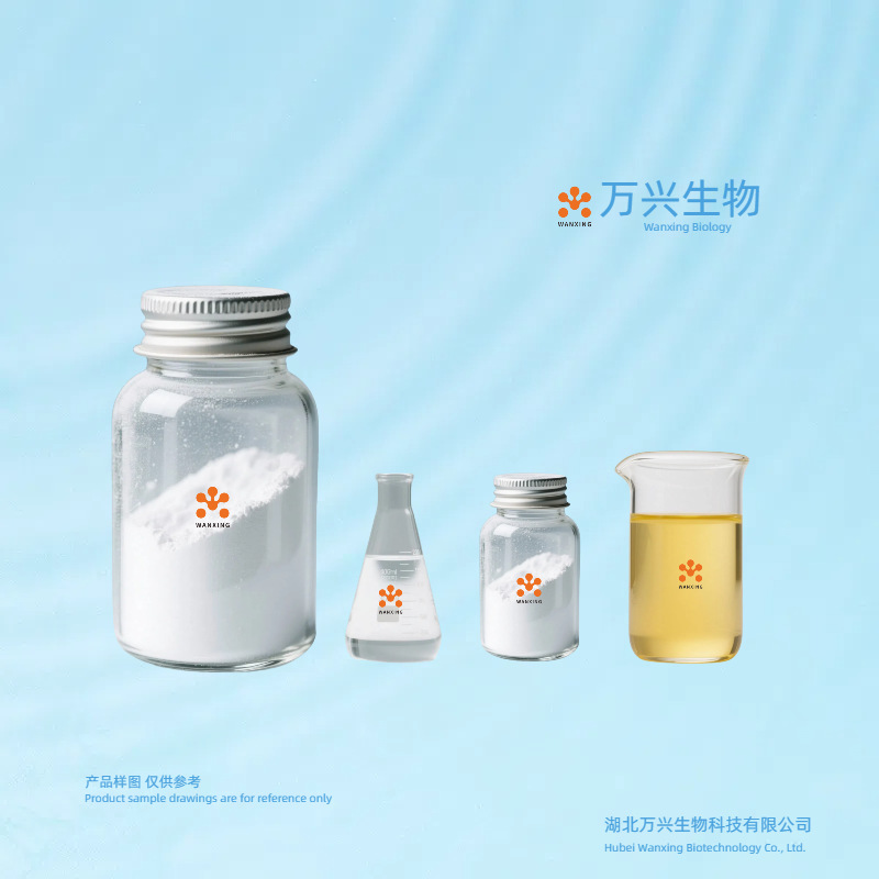 Factory Direct Sales 2-Methylbutanal Methyl Ethyl Acetaldehyde 96-17-3 99% 10g 100g 1kg 1t