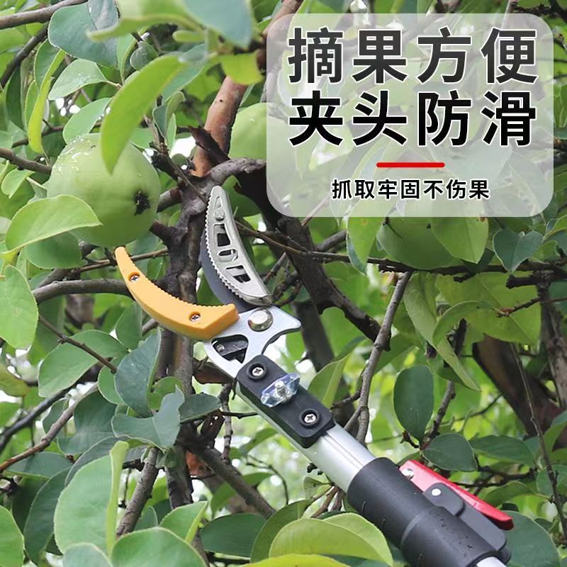 Fruit-Picking Tool, High-Altitude Picking Tool, Telescopic Pole for Picking Branches, Pruning Pole for Loquat, Longan, and Lychee Fruit-Picking Shears