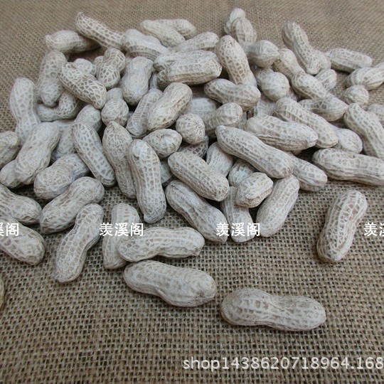 Purple Clay Bionic Small Peanut Section Mud Peanut Yixing Purple Clay Tea Pet Sculpture Ornaments Tea Play Decoration Home Furnishings