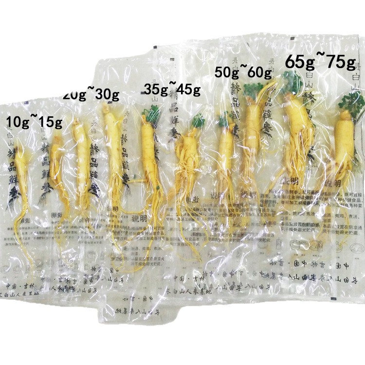 [Factory Direct Sales] Changbai Mountain Fresh Ginseng Wholesale Northeastern Local Specialty Bagged Fresh Ginseng Soup and Wine Ginseng