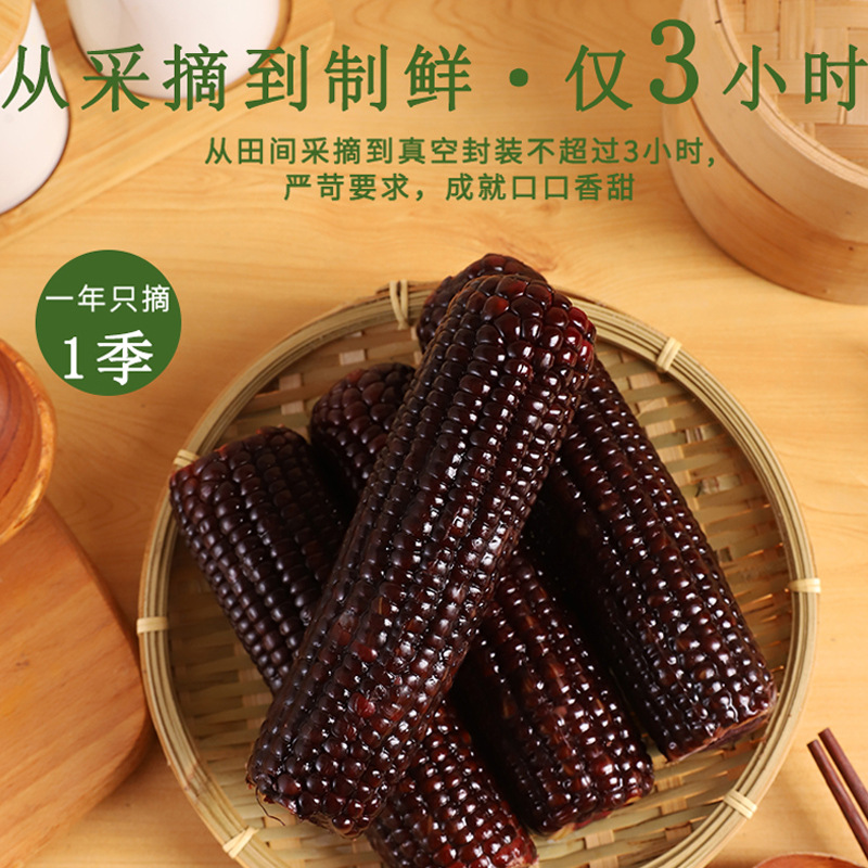 Black Corn Waxy Corn 10 Pieces Soft Glutinous Sweet Sticky Corn on the Cob Meal Replacement Independent Package