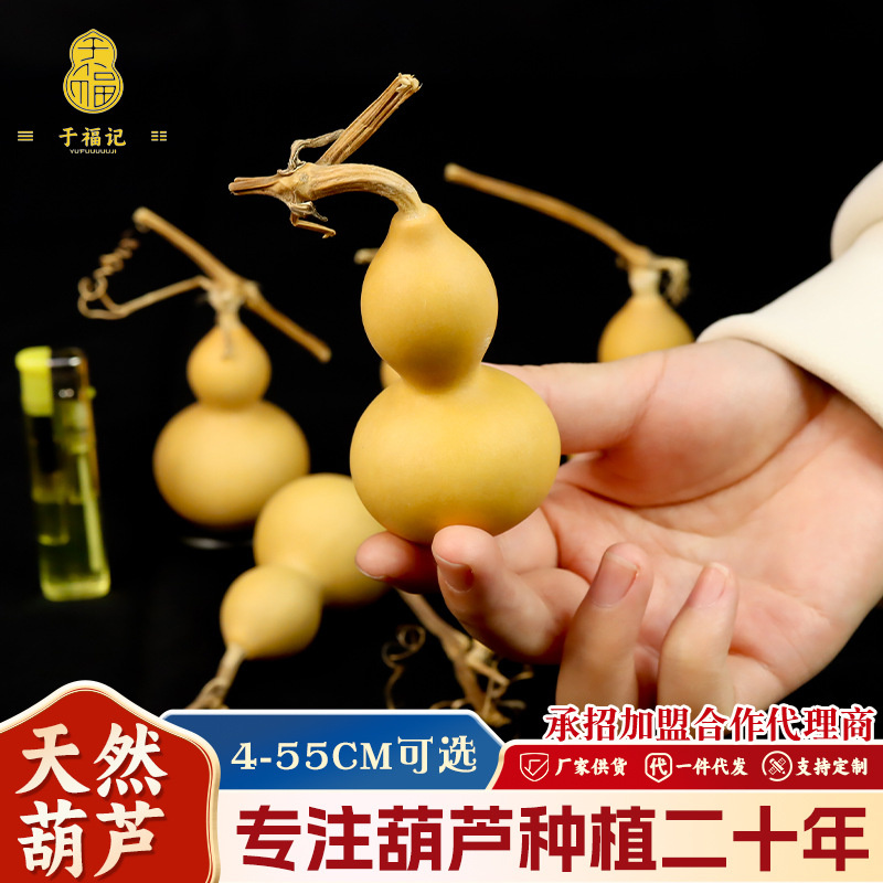 Натуральная тыква, маленькая тыква ручной работы, оптовая продажа, украшение в виде драконьей головы, большое тыквенное украшение