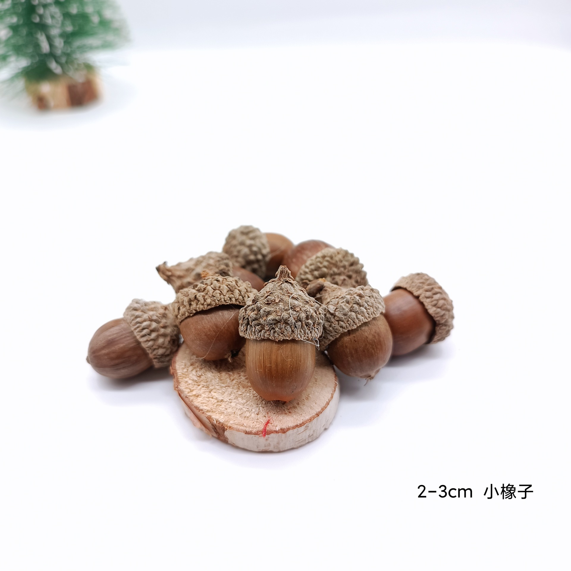 Natural Acorn Acorn shell dried fruit shell landscape ornaments shooting props window ornaments Christmas decorations pendant