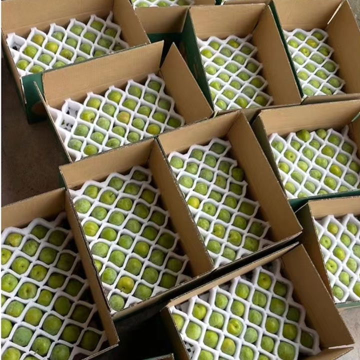 Fresh Hollow Seasonal Sweet and Sour Fruit from Wenchuan Qingcui Plums, Honey Ice, Wushan Hongyin, Boneless Plums from Sichuan