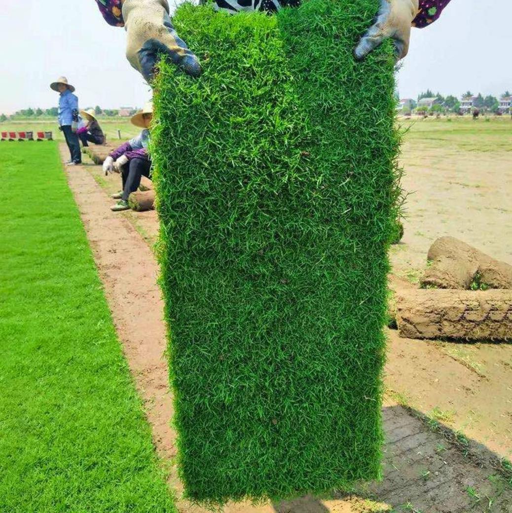 Искусственный газон с почвой, вечнозеленый газон, садовый дворик виллы, зеленый манильский газон с почвой, большой объем