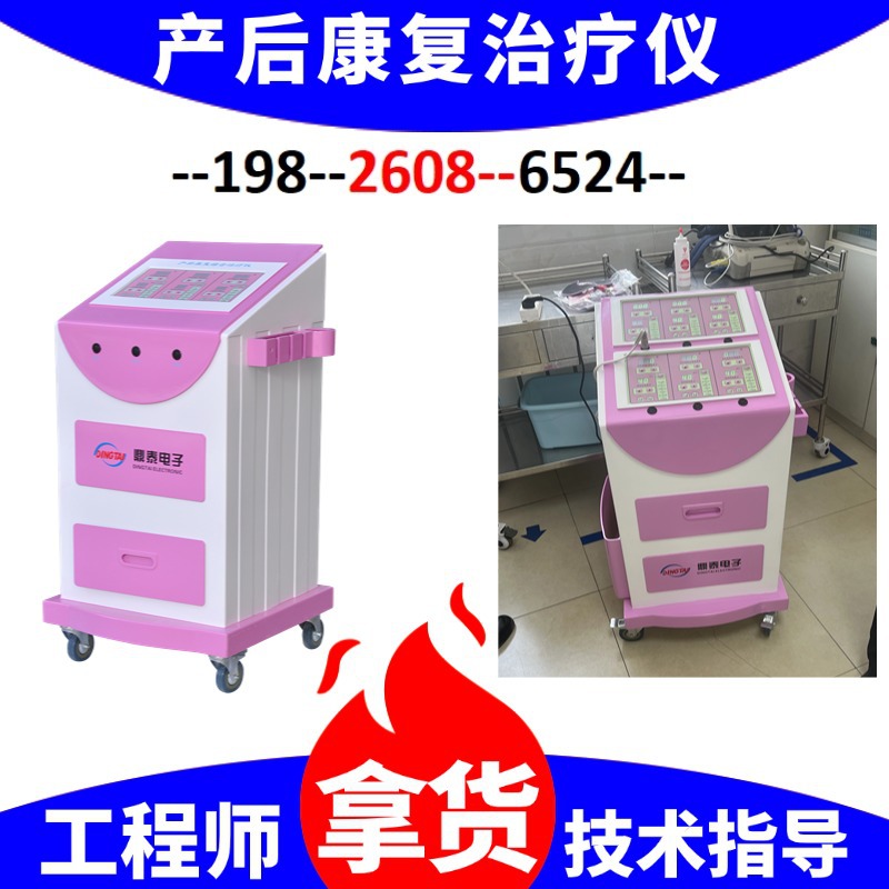 Postpartum Rehabilitation Comprehensive Treatment Instrument Hospital's Same Equipment Postpartum Pelvic Floor Rehabilitation Comprehensive Treatment Instrument Training Fee