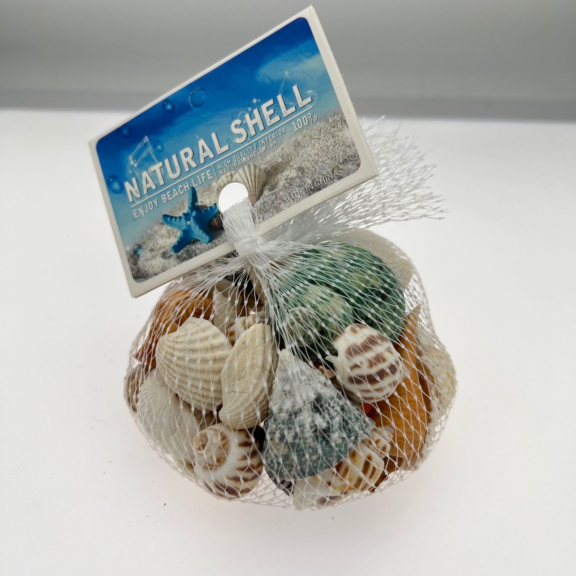 Study Natural Shell Conch Starfish Fish Tank Landscaping Decoration Shell Conch Wholesale Wind Chime DIY Crafts