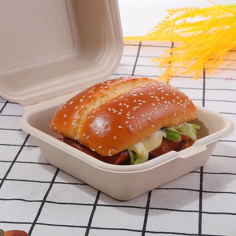 Disposable Lunch Box Internet Celebrity Cake Box Hand-Painted Sugar Cane Pulp Biodegradable Hamburger Box Takeaway Packaging Box