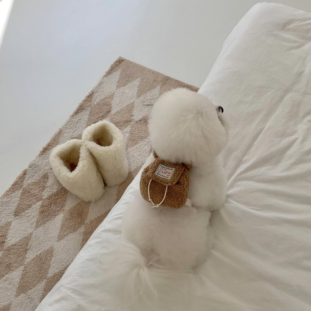 Ins puppies and cats go out pets from backpacks, schoolbags, excrement bags, snack bags, teddy bears, bomei wholesale