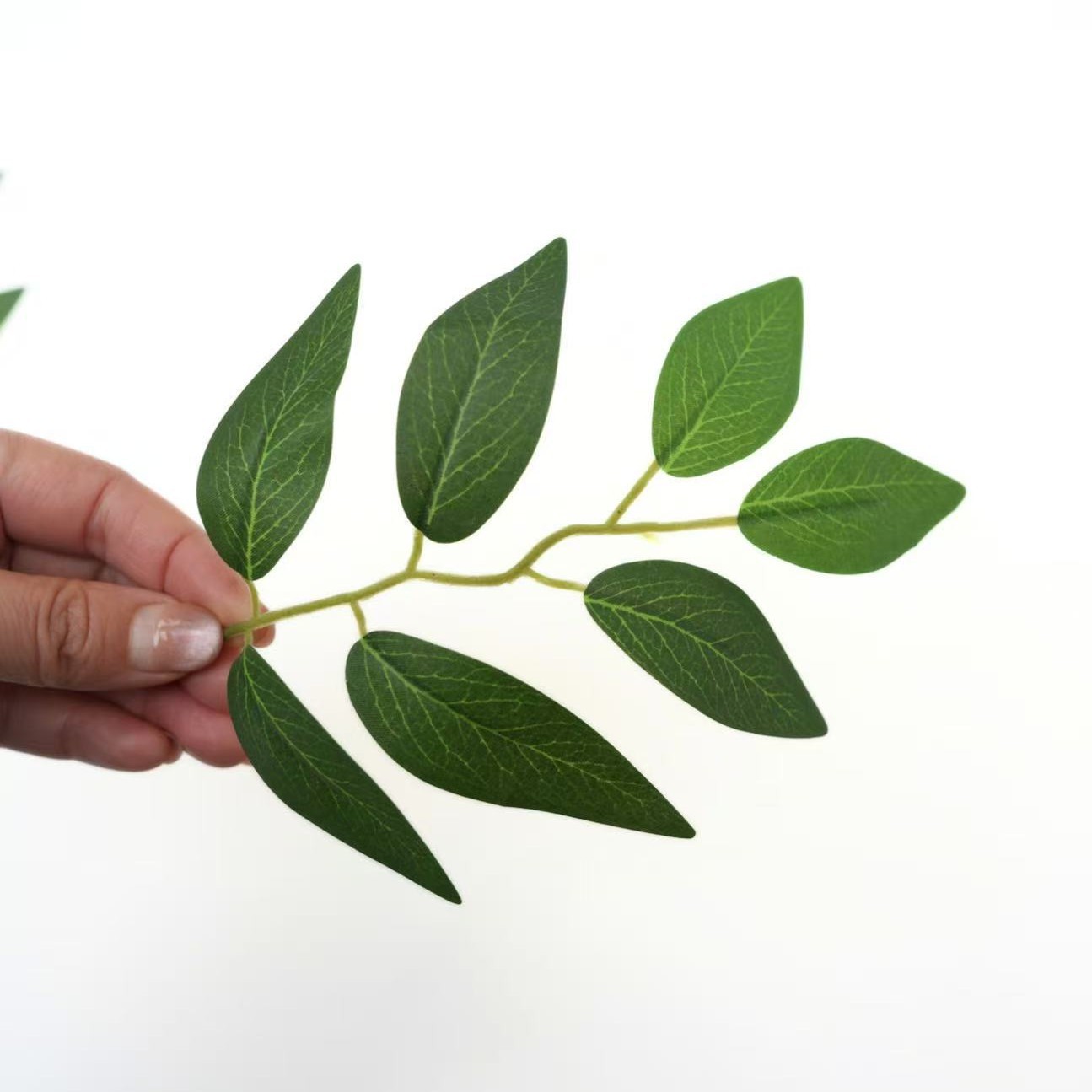 Factory Direct Supply of Simulated Jujube Leaves 7 Leaves Wholesale Supply Home Photography Decoration Green Plant Accessories