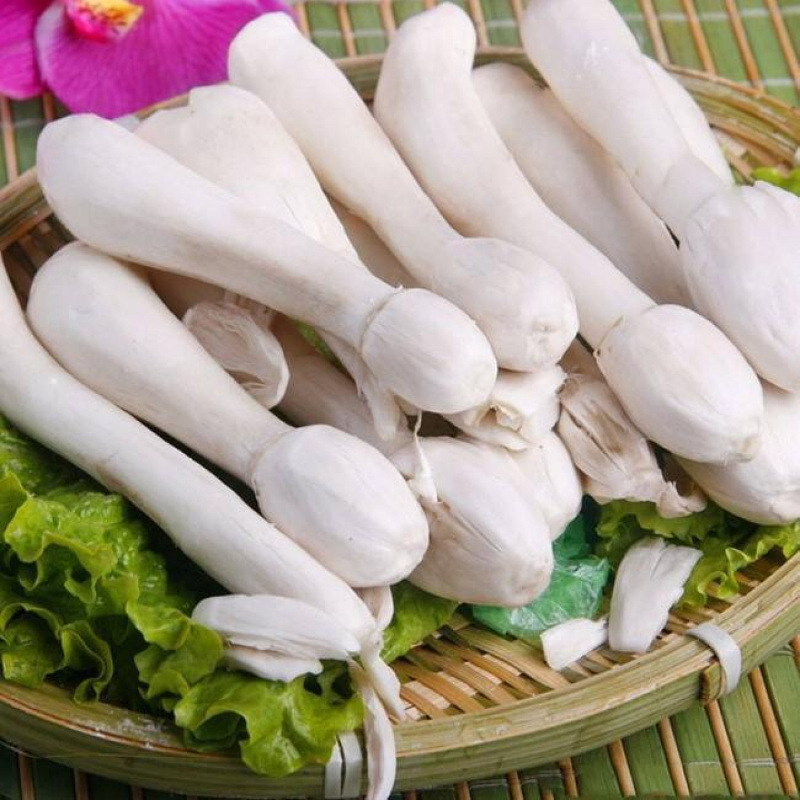 Gutian Chicken Leg Mushroom Dry Goods Natural Quality Local Specialty Dry Goods Farm-Grown