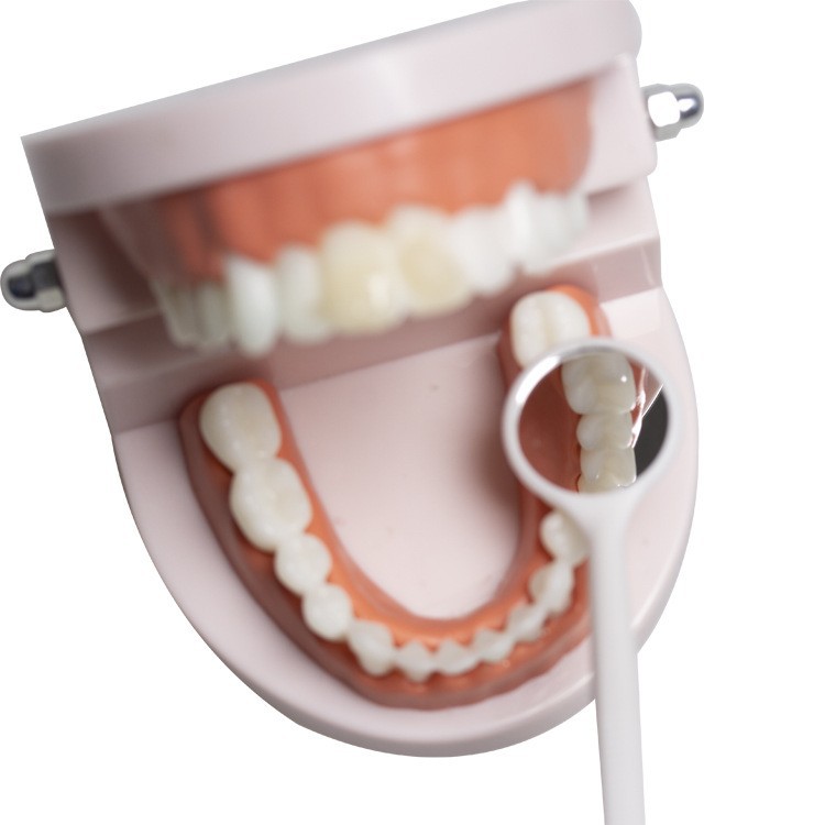 Wholesale disposable dental endoscope dental examination lens dental oral endoscope dental endoscope dental mirror