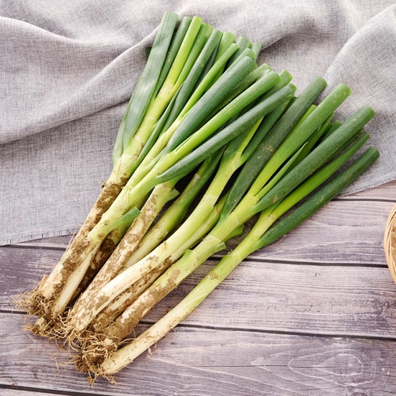 Shandong Zhangqiu Green Onions Fresh Vegetables 2.5kg Seasonal Whole Box Dipping Sauce Long Onions Farm-Grown Iron Pole Green Onions to Help Farmers