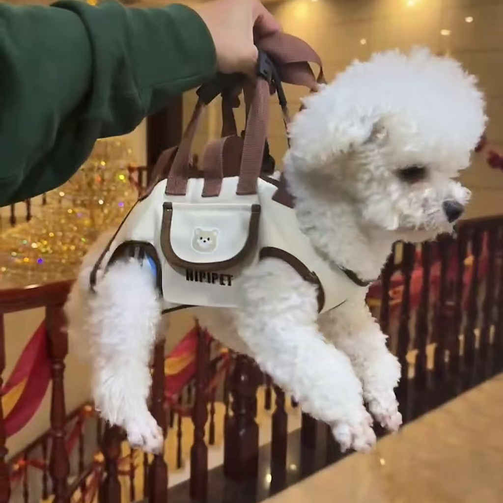 Outdoor Dog Outing Portable Bag, Portable Cross-Body Puppy Backpack with Strap, Pet Travel Bag, Travel Supplies