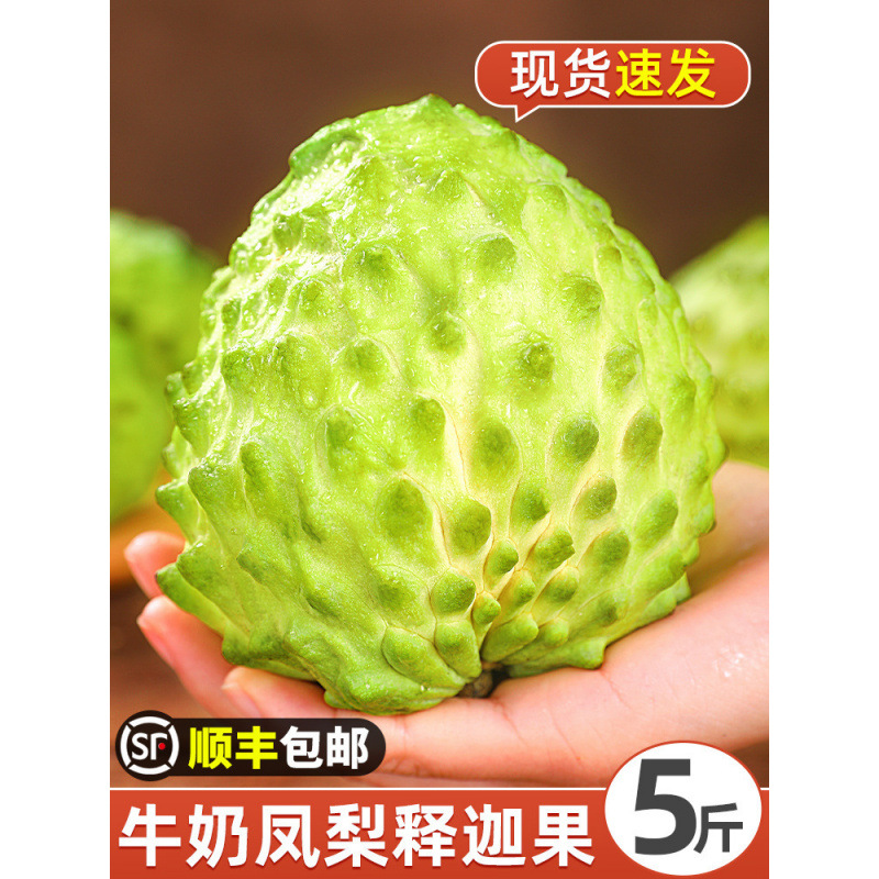 Свежий фрукт Сакьямуни, большой молочный ананас, фрукт будды, рингомони, сезонные фрукты, Sf