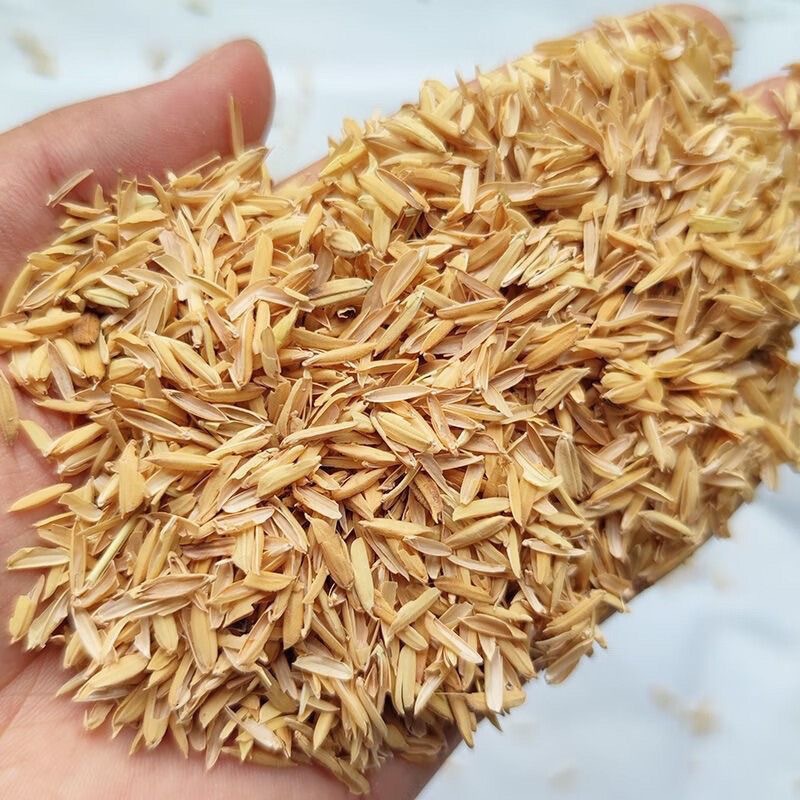 Supply Rice husk, cattle, sheep, chicken feed, pet bedding, pillow filling, livestock, distillery, wine making, Dapeng planting