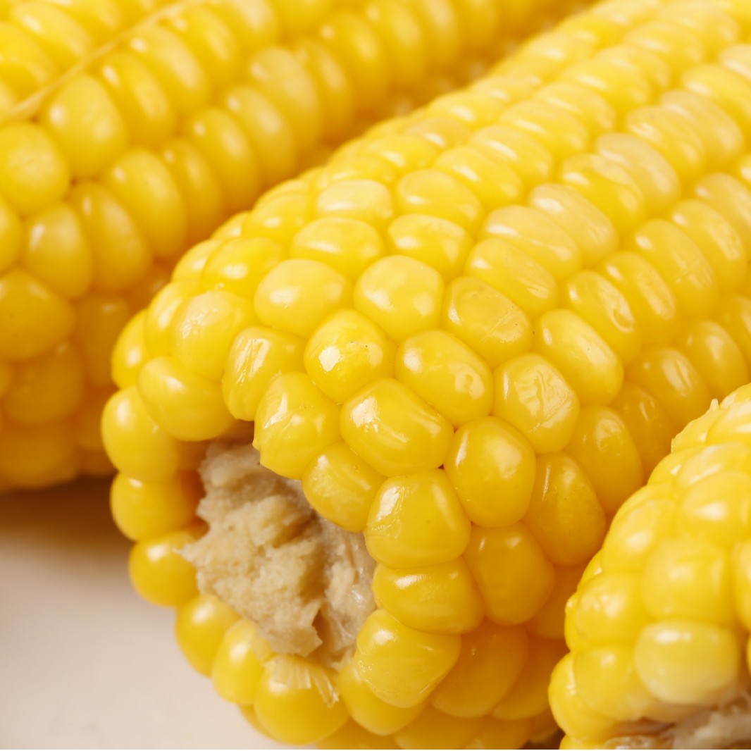 Each Box of Fragrant Corn Contains 12 Ears, 4 Stalks Per Bag, Yellow Sticky Corn/8A