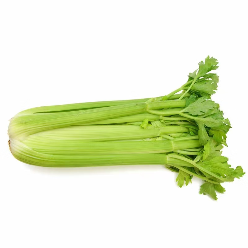 Fresh Celery, Large Half-Leaf Celery, Parsley, Nutritious and Crispy Vegetables, Suitable for Juicing