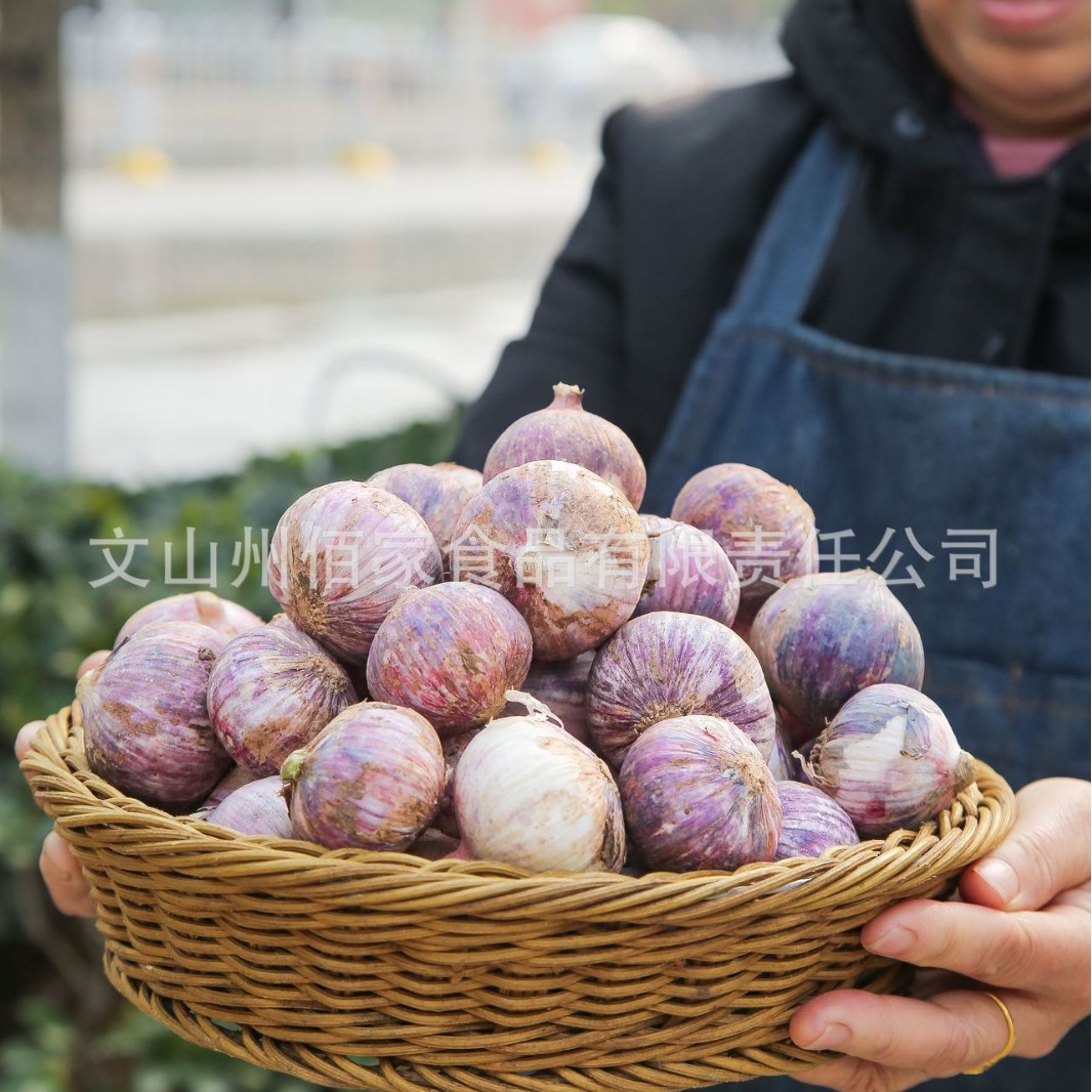 500g Medium Fruit (2-3cm) Organic Garlic Purple-Skinned Single-Headed Garlic Yunnan 2025 New Garlic Dried Garlic