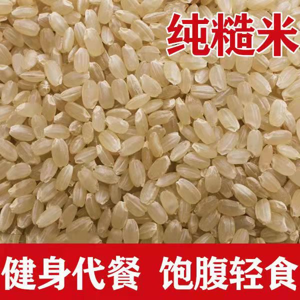 Bulk Wholesale Brown Rice 500g New Rice Bulk Brown Rice Farm-Produced Whole Grains
