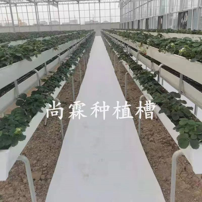 Pvc Elevated Strawberry Cultivation Trough Strawberry Soilless Cultivation Equipment Greenhouse Stereo Planting Rack Strawberry Planting Trough