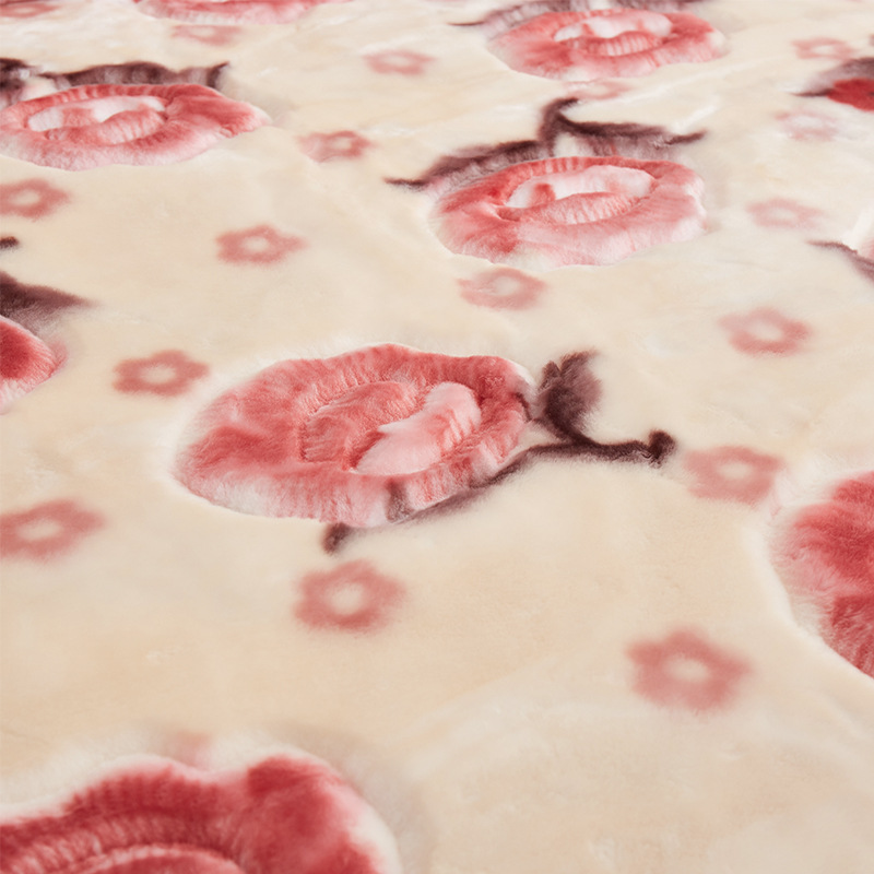 2025 New Double-Layer Thickeneded Winter Blanket Raschel Blanket Fleece-Lined Extra Thick Wedding Gift Blanket Cover