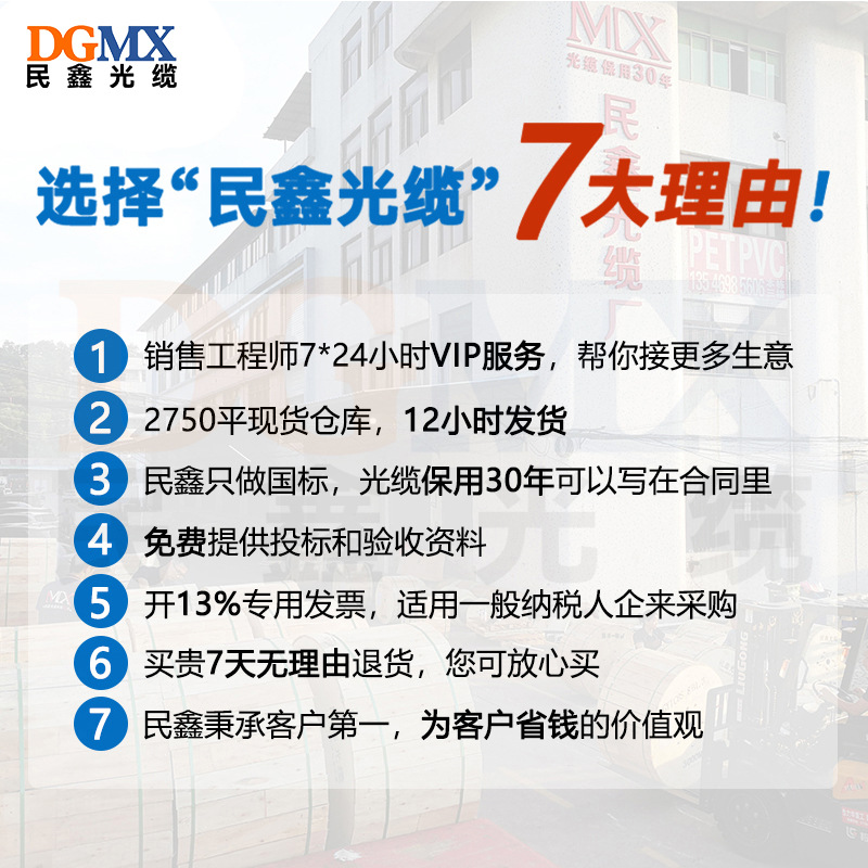 Minxin Leather-Coated Composite Cable Outdoor Fiber Optic Telecom-Grade Indoor Leather-Coated Composite Cable 1-Core 2-Core Leather-Coated Fiber Optic Cable