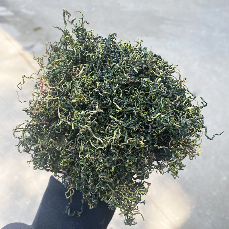 Dandelion tea mother-in-law dandelion leaves dandelion root Chinese herbal medicine bulk dandelion tea wholesale