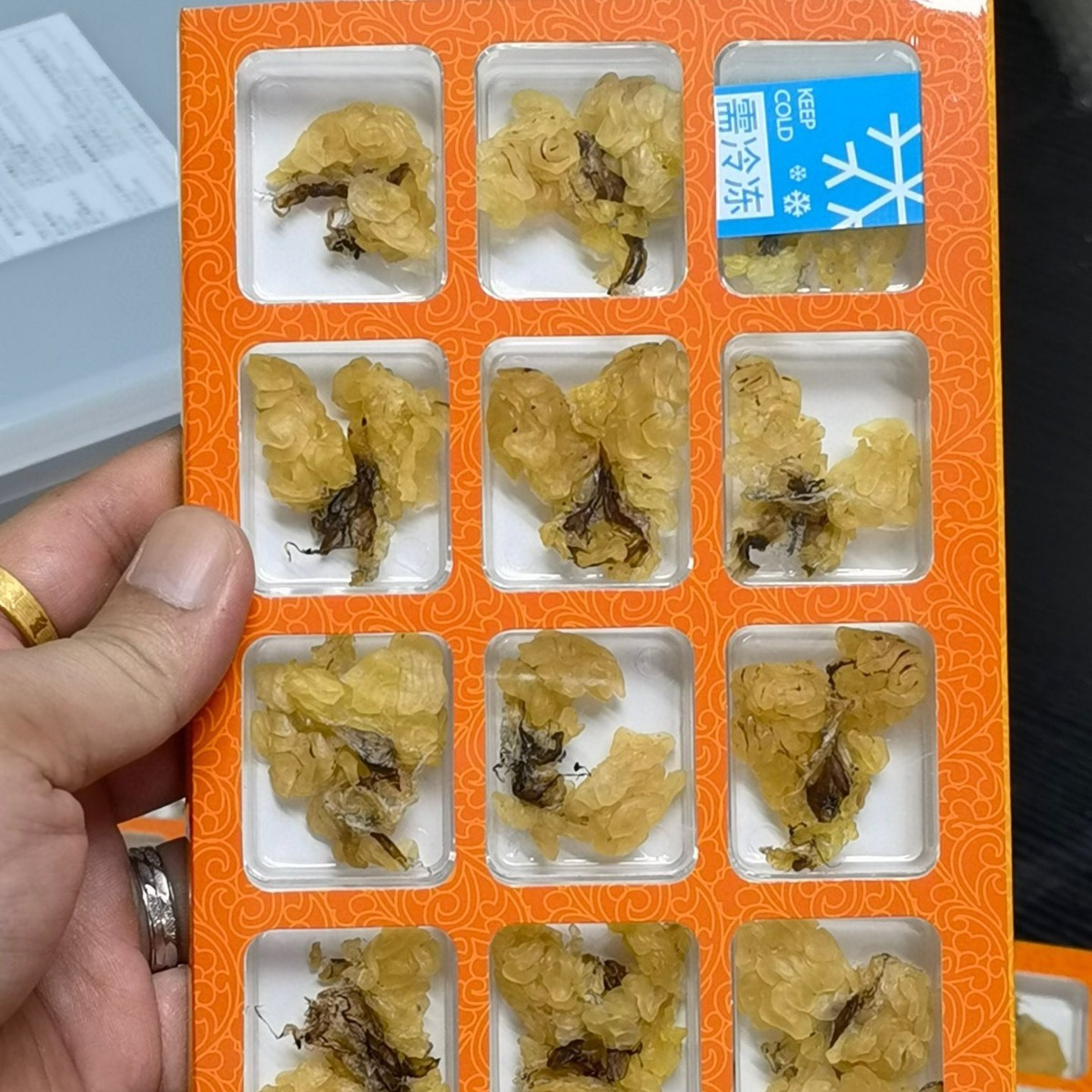 Jilin direct sales [whole snow clam] Northeast Changbai mountain snow clam dry goods snow clam oil forest frog oil dry delivery