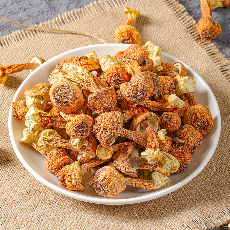 Wholesale on behalf of Agaricus blazei dry goods primary color Yunnan specialty Tricholoma matsutake Brazil mushroom sulfur-free no added new goods