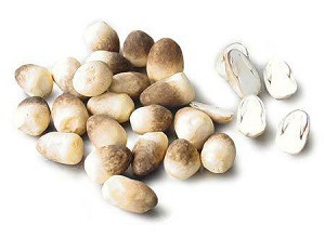 Guxi boiled straw mushroom tablets 1kg straw mushroom boiled grass mushroom canned pickled straw mushroom canned factory direct supply