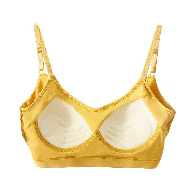 High School Student Intimates Female Development Period Student 18 Years Old 17 Teenagers 15 Years Old 16 Junior High School Student Girl Bra Fixed Cup