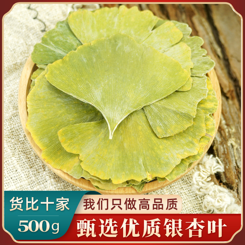 Ginkgo Leaf Chinese Herbal Medicine 500g Ginkgo Leaf Tea Genuine New Arrival White Ginkgo Leaves Dried Ginkgo Leaves Whole Piece for Tea and Water