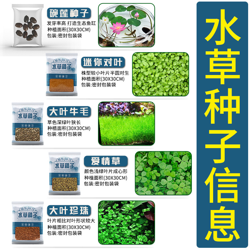Wholesale Aquatic Plants Seeds Bowl Lotus Seeds Aquatic Plants Mud Micro Landscape Fish Tank Landscaping Live Real Grass Aquatic Algae Plants