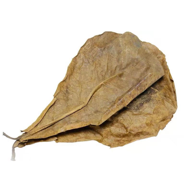 Olive leaf concentrate Thailand Douyu fish tank acid-reducing turtle Lei long yellow water authentic liquid lazy leaf Ph-reducing