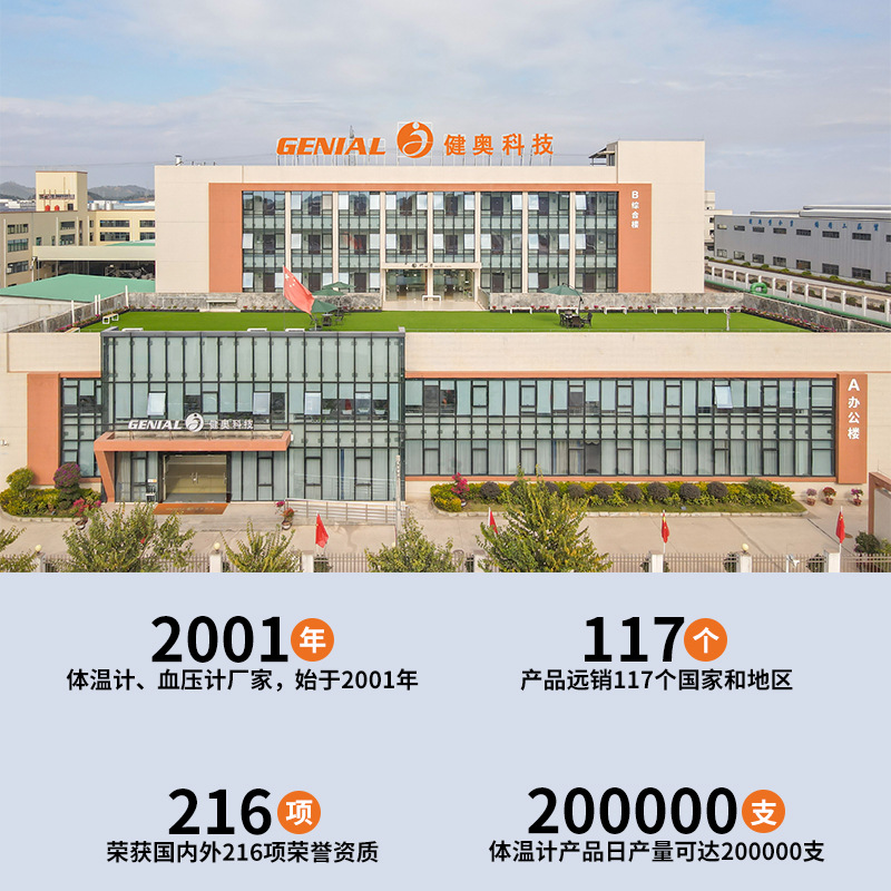 English Thermometer Manufacturer Celebrity Huashi Thermometer Cross-Border Export Household Digital Electronic Thermometer